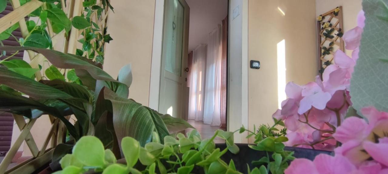 Ferienwohnung Il Tetto Dei Sogni Pistoia Exterior foto